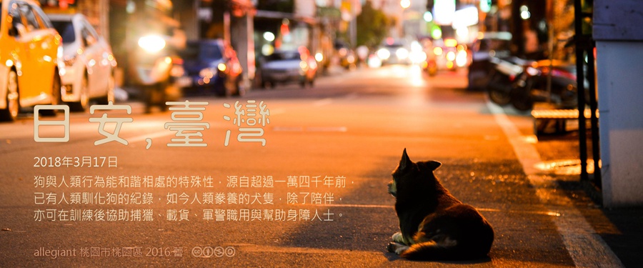 365 日安，臺灣之2018年3月17日